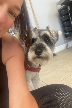 4 Paws an lee, dog & pet grooming services